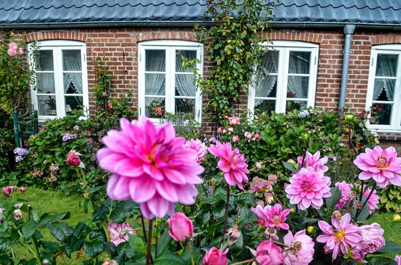 Hof Diederichs Bohmstedt Exterior photo